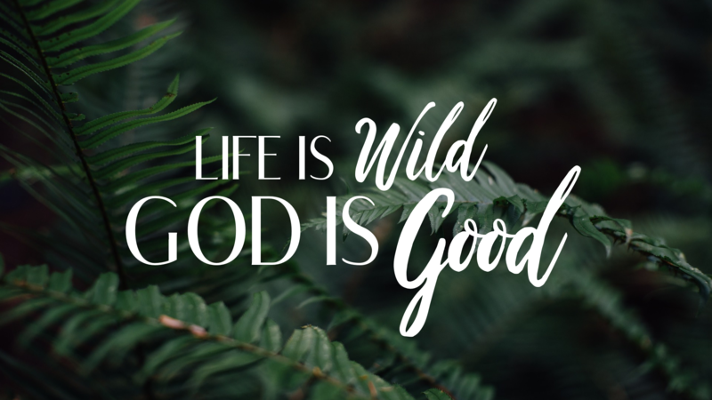 Life is Wild- God is Good
